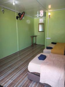 two beds in a room with green walls at OCEANBOYS INN in Perhentian Islands