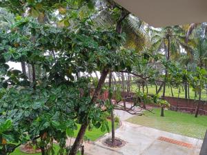 Κήπος έξω από το UVA Sands Beach Resort