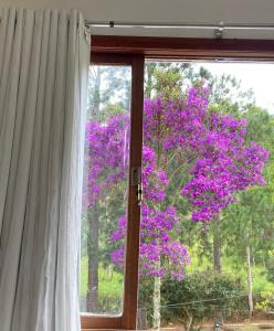 a window with a view of a tree with purple flowers at Pousada Jupter in Teresópolis