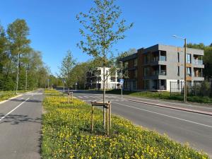 a tree on the side of a road with yellow flowers at Cozy apartment near the beach and the city center in Tartu