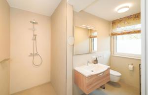 a bathroom with a sink and a toilet at Appartements "Zum Leuchtturm" Hafen Rankwitz Insel Usedom in Rankwitz