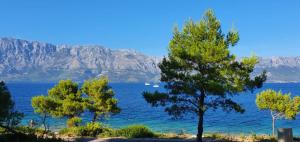 two trees in front of a body of water with mountains at Marija Holiday Home in Sućuraj