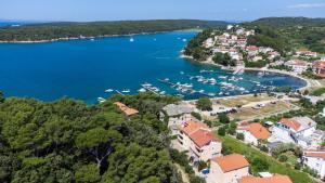 an aerial view of a harbor with boats in the water at Apartman Mia in Palit