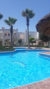 a person swimming in a large pool with palm trees at Welcome Duplex in El Jadida