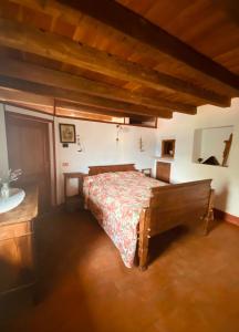 a bedroom with a bed and a sink at DOSSENA Dimora Storica Al Lac Conte Tomaselli in Madonna della Costa
