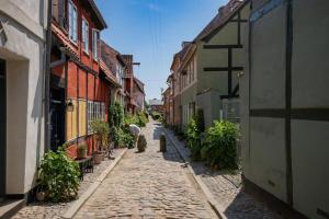 una calle adoquinada en un callejón con edificios en Amazing Royal Suite, en Helsingør