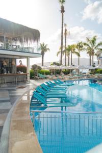Casa De Maris Spa & Resort Hotel Adult Only 16 Plus في مرماريس: مسبح في منتجع يوجد به كراسي زرقاء واشجار نخيل