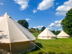 três tendas brancas num campo de relva em Mazury Glamping Kruklanki Polana Życzeń em Kruklanki