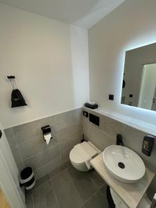 a bathroom with a toilet and a sink and a mirror at Skyfall Rooms in Eisenstadt