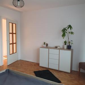 a white room with a table and a potted plant at Mieszkanie w domu jednorodzinnym in Człuchów