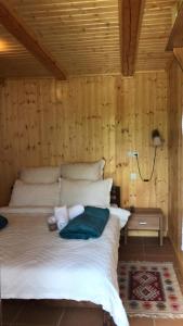 Afbeelding uit fotogalerij van Casa OLD BRICK in Ocna Şugatag +56 foto's