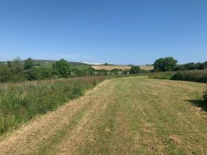 a dirt road in the middle of a field at Pheasants Wander in Newquay