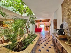 una sala de estar con muchas plantas en Tropical Garden Finca en Guía de Isora