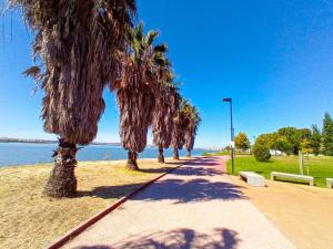 a sidewalk lined with palm trees next to the water at Sesimbra Charming Pool Duplex BBK & Garden in Sesimbra