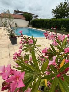 Ein paar rosa Blumen vor dem Pool in der Unterkunft Les voyages de Louison in Lavardac