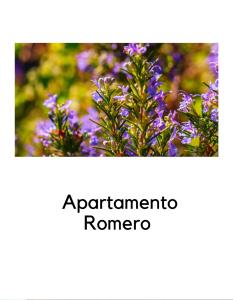 Φωτογραφία από το άλμπουμ του Alojamientos La Ermita σε Navamuel