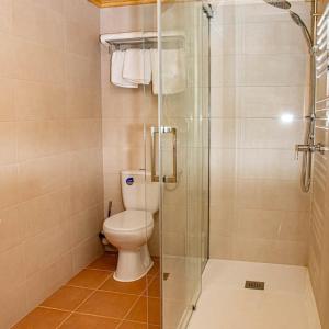 Afbeelding uit fotogalerij van Casa OLD BRICK in Ocna Şugatag