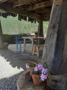 un patio con macetas y una mesa de picnic en Sons do Eo Apartamentos Turísticos en Baleira