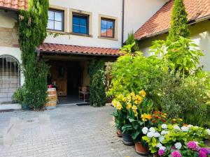 a courtyard of a house with flowers and plants at Ferienwohnung mit schöner Terrasse. in Ellerstadt