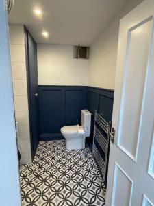 a bathroom with a white toilet in a blue room at Glenogue Farm in Gorey