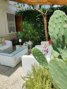 un patio con sedie di vimini bianche e un cactus di DIMORA ARTEMISIO a Siponto