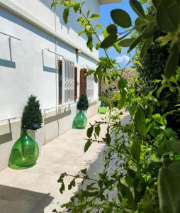 tre vasi verdi seduti sul lato di un edificio di DIMORA ARTEMISIO a Siponto