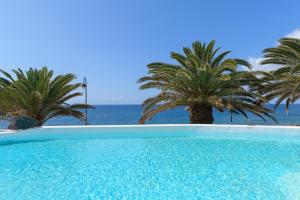 uma piscina com palmeiras e o oceano em La Vida Oceana em Costa Teguise