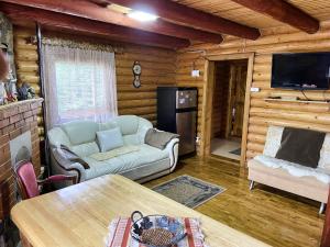 una sala de estar con sofá y TV en una cabaña de madera en Private House Затишок, en Zhdeniievo