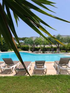 a pool with lounge chairs and a palm tree at Otus Camere in Otranto