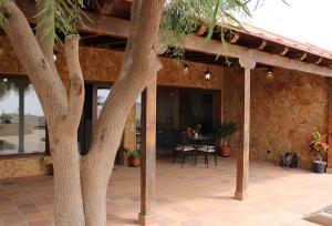un patio esterno con un albero e un tavolo di Eco Terra by Sea You There Fuerteventura a Puerto del Rosario