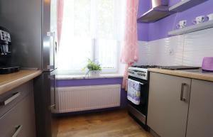 Kuchyňa alebo kuchynka v ubytovaní Apartament Lawendowy