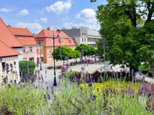 Vonkajšia záhrada v ubytovaní Apartament Lawendowy