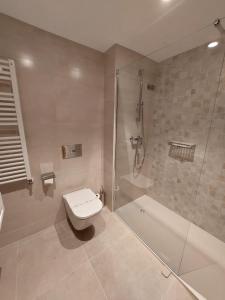 a bathroom with a shower and a toilet and a tub at Hotel Saurat in Espot
