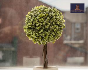 a green plant in a vase in a window at Swan House Apartment 5 - 2 Bed Apartment - Sleeps 6 - Free Parking - Liverpool - close to city centre - By ALL ELITE STAYS in Liverpool