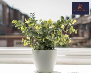 a plant in a white vase sitting on a window sill at Swan House Apartment 2 - 1 Bed Apartment - Sleeps up to 4 - Free Parking - Liverpool - close to city centre - By ALL ELITE STAYS in Liverpool