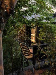 a tree house with a staircase in the trees at Hutstuf The Eagle & Private Outdoor Spa in La-Roche-en-Ardenne