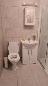 a bathroom with a toilet and a sink and a shower at Bundoran Seaview Apartments in Bundoran +7 photos