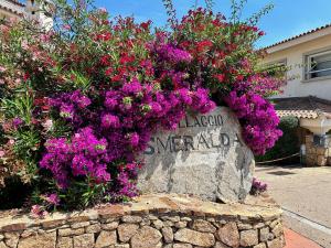 A garden outside ILIA'S House Porto Rotondo