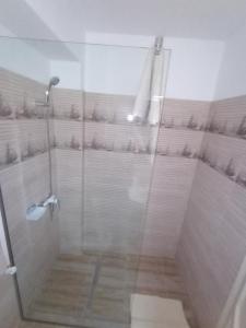 a shower with a glass door in a bathroom at Pestele Ca Odinioară in Murighiol