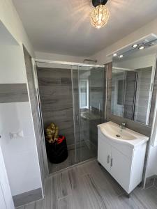 a bathroom with a sink and a shower and a mirror at Sibilla 21 Home in Tivoli