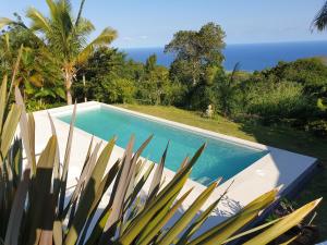 a swimming pool with a view of the ocean at Les Coeurs d'Amants in Saint-Joseph