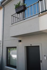 a building with a door and a balcony with a plant at Aldoar House in Porto +9 photos