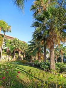 a group of palm trees in a park at Beach Apartment Puerto Banus Marbella in Estepona