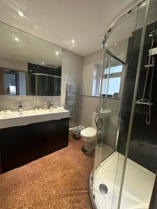La salle de bains est pourvue d'une douche, d'un lavabo et de toilettes. dans l'établissement Pevensey Bay Villa, à Pevensey