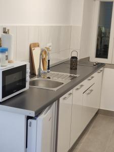 cocina con fregadero y microondas en Apartment Zagalo, en Sveta Nedelja