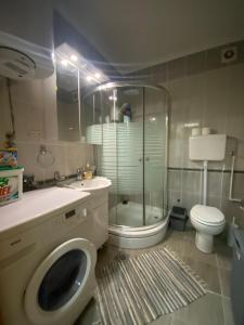 ein Badezimmer mit einem WC, einer Dusche und einer Waschmaschine in der Unterkunft Studio Ivy in Vrnjačka Banja