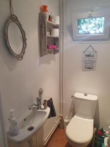 a bathroom with a toilet and a sink and a mirror at Le Clos du Moulin Dijon, avec son jardin calme et romantique, la campagne à la ville in Dijon