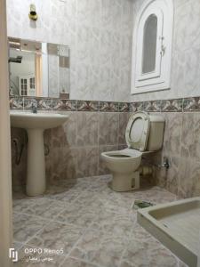 a bathroom with a toilet and a sink and a mirror at North coast in El Alamein