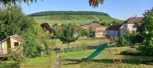 um parque infantil com um escorrega no meio de um campo em Gîte du bel air em Festigny
