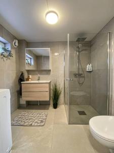 a bathroom with a shower and a toilet and a sink at Beautiful apartment near forest, sea and city in Sandefjord